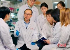 中国碱基编辑技术可有效治疗β地中海贫血 或彻底摆脱输血依赖